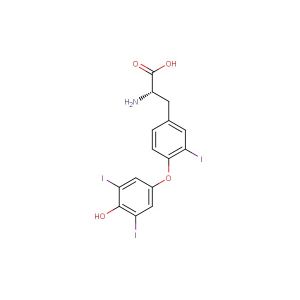 Reverse T3(Synonyms: 3  ,5  ,3-Triiodothyronine)