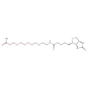 Biotin-PEG3-acid