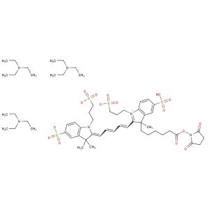 AF647-NHS ester TEA Salt
