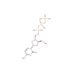 3'-ONH?-dCTP