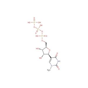 N1-Methylpseudouridine-5  -triphosphate solution (100 mM)(Synonyms: 1-Methylpseudouridine-5  -triphosphate)