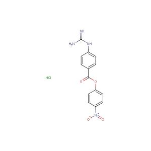 4-nitrophenyl 4-guanidinobenzoate hydrochloride