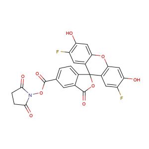 OG 488, SE(Synonyms: Oregon green 488 succinimidyl ester)
