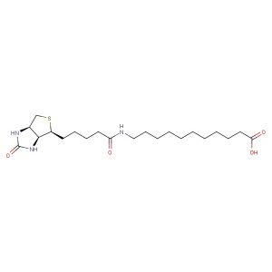 (+)-Biotin-SLC