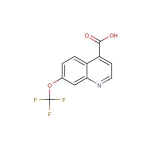 7-(trifluoromethoxy)quinoline-4-carboxylic acid