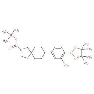 tert-butyl 8-(3-methyl-4-(4,4,5,5-tetramethyl-1,3,2-dioxaborolan-2-yl)phenyl)-2-azaspiro[4.5]decane-2-carboxylate