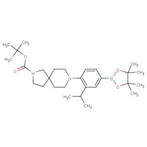 tert-butyl 8-(2-isopropyl-4-(4,4,5,5-tetramethyl-1,3,2-dioxaborolan-2-yl)phenyl)-2,8-diazaspiro[4.5]decane-2-carboxylate