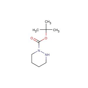 tert-Butyl tetrahydropyridazine-1(2H)-carboxylate