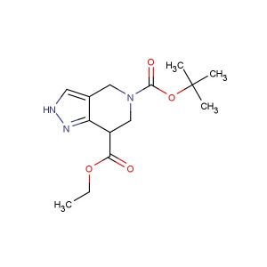 5-tert-butyl 7-ethyl 6,7-dihydro-2H-pyrazolo[4,3-c]pyridine-5,7(4H)-dicarboxylate