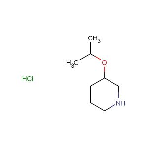 3-isopropoxypiperidine hydrochloride
