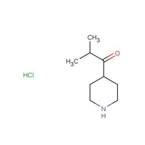 2-methyl-1-(piperidin-4-yl)propan-1-one hydrochloride