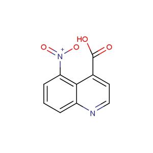 5-nitroquinoline-4-carboxylic acid