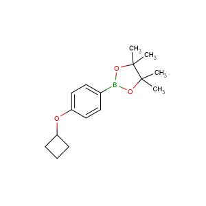 2-(4-cyclobutoxyphenyl)-4,4,5,5-tetramethyl-1,3,2-dioxaborolane