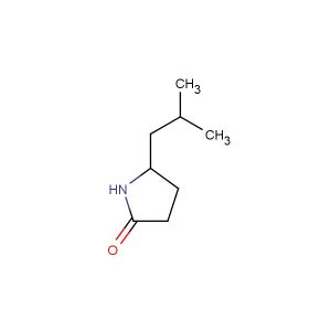 5-isobutylpyrrolidin-2-one