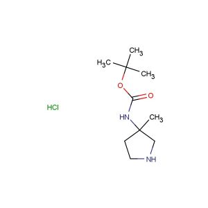 (3-methyl-pyrrolidin-3-yl)-carbamic acid tert-butyl ester hydrochloride