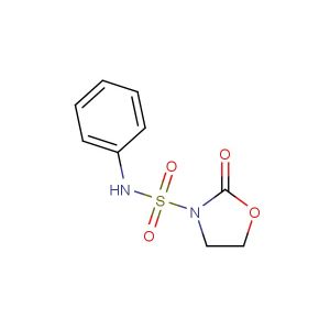2-oxo-N-phenyloxazolidine-3-sulfonamide