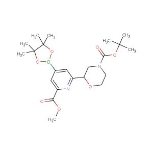 tert-butyl 2-(6-(methoxycarbonyl)-4-(4,4,5,5-tetramethyl-1,3,2-dioxaborolan-2-yl)pyridin-2-yl)morpholine-4-carboxylate