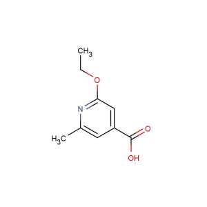 2-ethoxy-6-methylisonicotinic acid