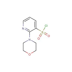 2-morpholinopyridine-3-sulfonyl chloride