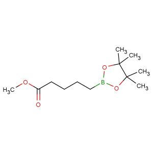 methyl 5-(4,4,5,5-tetramethyl-1,3,2-dioxaborolan-2-yl)pentanoate