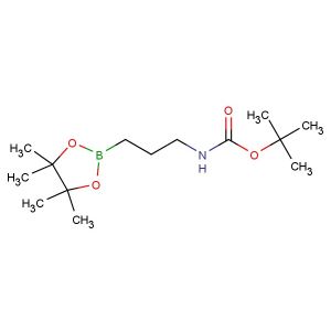 tert-butyl (3-(4,4,5,5-tetramethyl-1,3,2-dioxaborolan-2-yl)propyl)carbamate