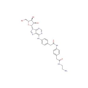 Adenosine amine congener