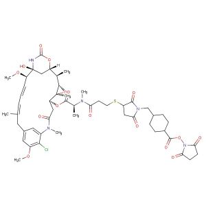 SMCC-DM1