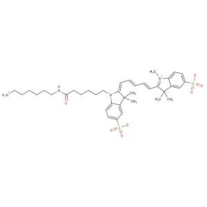 Sulfo Cy5 Amine
