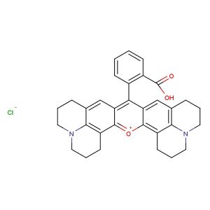 Rhodamine 101 chloride