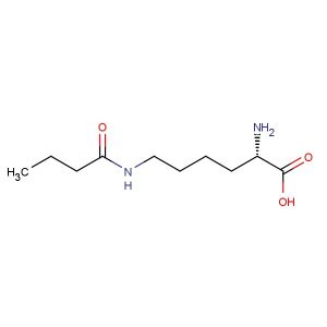 Lysine(butyryl)-OH