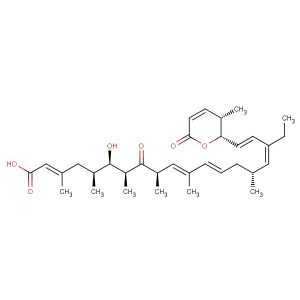 Leptomycin B(Synonyms: CI 940; LMB)