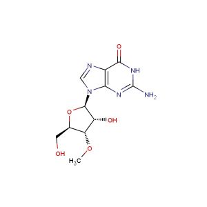 3  -O-Methylguanosine