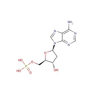 2  -Deoxyadenosine -5  -monophosphate free acid