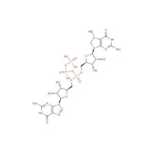 7-Methyl-diguanosine triphosphate(Synonyms: m7Gp3G)