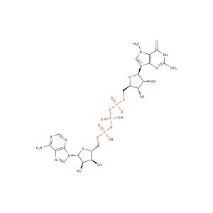 N7-Methyl-guanosine-5'-triphosphate-5'-adenosine(Synonyms: m7GpppA)