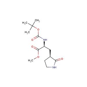 methyl (S)-2-((tert-butoxycarbonyl)amino)-3-((S)-2-oxopyrrolidin-3-yl)propanoate
