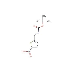 5-(tert-butoxycarbonylamino-methyl)thiophene-2-carboxylic acid