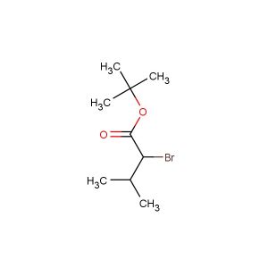 tert-butyl 2-bromo-3-methylbutanoate