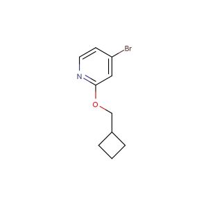 4-bromo-2-(cyclobutylmethoxy)pyridine
