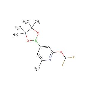 2-(difluoromethoxy)-6-methyl-4-(4,4,5,5-tetramethyl-1,3,2-dioxaborolan-2-yl)pyridine