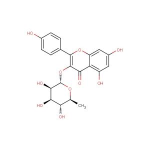 Afzelin(Synonyms: Kaempferol-3-O-rhamnoside)