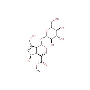 Methyl deacetylasperulosidate(Synonyms: 6Alpha-Hydroxygeniposide; Deacetylasperulosidic acid methyl ester)