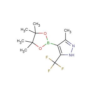 3-methyl-4-(4,4,5,5-tetramethyl-1,3,2-dioxaborolan-2-yl)-5-(trifluoromethyl)-1H-pyrazole
