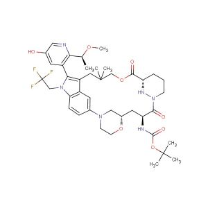 tert-butyl ((22S,63S,4S)-12-(5-hydroxy-2-((S)-1-methoxyethyl)pyridin-3-yl)-10,10-dimethyl-5,7-dioxo-11-(2,2,2-trifluoroethyl)-61,62,63,64,65,66-hexahydro-11H-8-oxa-2(4,2)-morpholina-1(5,3)-indola-6(1,3)-pyridazinacycloundecaphane-4-yl)carbamate