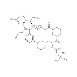 tert-butyl ((22S,63S,4S)-11-ethyl-12-(5-hydroxy-2-((S)-1-methoxyethyl)pyridin-3-yl)-10,10-dimethyl-5,7-dioxo-61,62,63,64,65,66-hexahydro-11H-8-oxa-2(4,2)-morpholina-1(5,3)-indola-6(1,3)-pyridazinacycloundecaphane-4-yl)carbamate