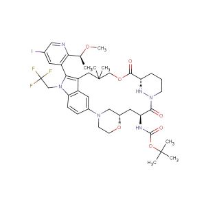 tert-butyl ((22S,63S,4S)-12-(5-iodo-2-((S)-1-methoxyethyl)pyridin-3-yl)-10,10-dimethyl-5,7-dioxo-11-(2,2,2-trifluoroethyl)-61,62,63,64,65,66-hexahydro-11H-8-oxa-2(4,2)-morpholina-1(5,3)-indola-6(1,3)-pyridazinacycloundecaphane-4-yl)carbamate
