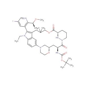 tert-butyl ((22S,63S,4S)-11-ethyl-12-(5-iodo-2-((S)-1-methoxyethyl)pyridin-3-yl)-10,10-dimethyl-5,7-dioxo-61,62,63,64,65,66-hexahydro-11H-8-oxa-2(4,2)-morpholina-1(5,3)-indola-6(1,3)-pyridazinacycloundecaphane-4-yl)carbamate