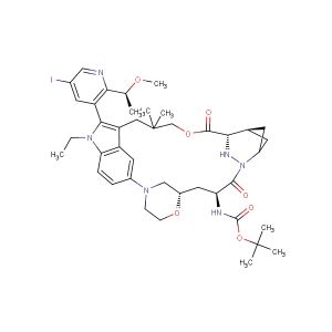 tert-butyl ((22S,64S,4S)-11-ethyl-12-(5-iodo-2-((S)-1-methoxyethyl)pyridin-3-yl)-10,10-dimethyl-5,7-dioxo-11H-8-oxa-62,63-diaza-2(4,2)-morpholina-1(5,3)-indola-6(2,4)-bicyclo[3.1.1]heptanacycloundecaphane-4-yl)carbamate