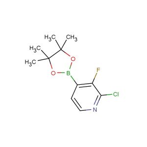 2-chloro-3-fluoro-4-(4,4,5,5-tetramethyl-1,3,2-dioxaborolan-2-yl)pyridine