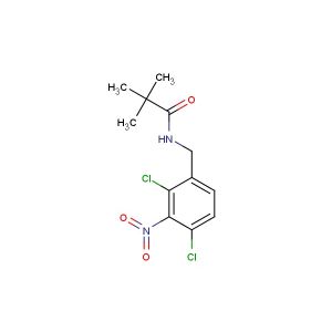 N-(2,4-dichloro-3-nitrobenzyl)pivalamide